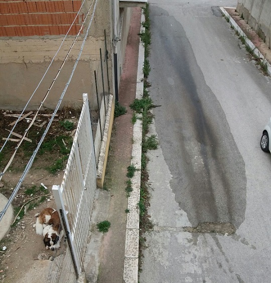 Favara, perdita d'acqua in via Matilde Serao. Chiesto l'intervento a Girgenti Acque