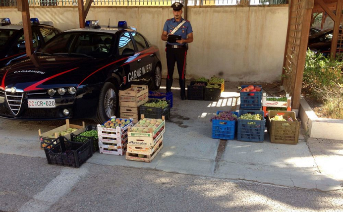 Licata, servizio interforze contro la vendita abusiva di frutta e verdura. Elevate sanzioni