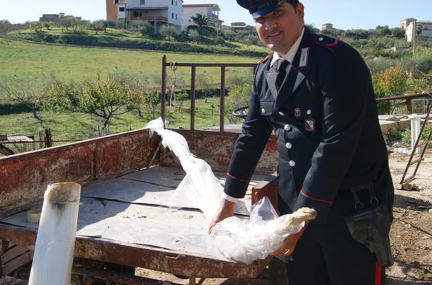 39enne favarese deteneva in casa di campagna numerosi animali di specie protetta, denunciato