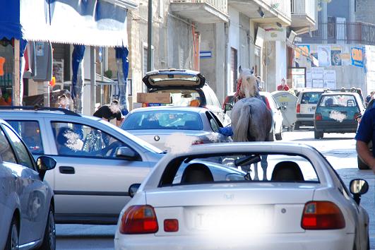 Favara, cavallo bianco senza cavaliere corre controsenso in Via Agrigento. Panico e stupore