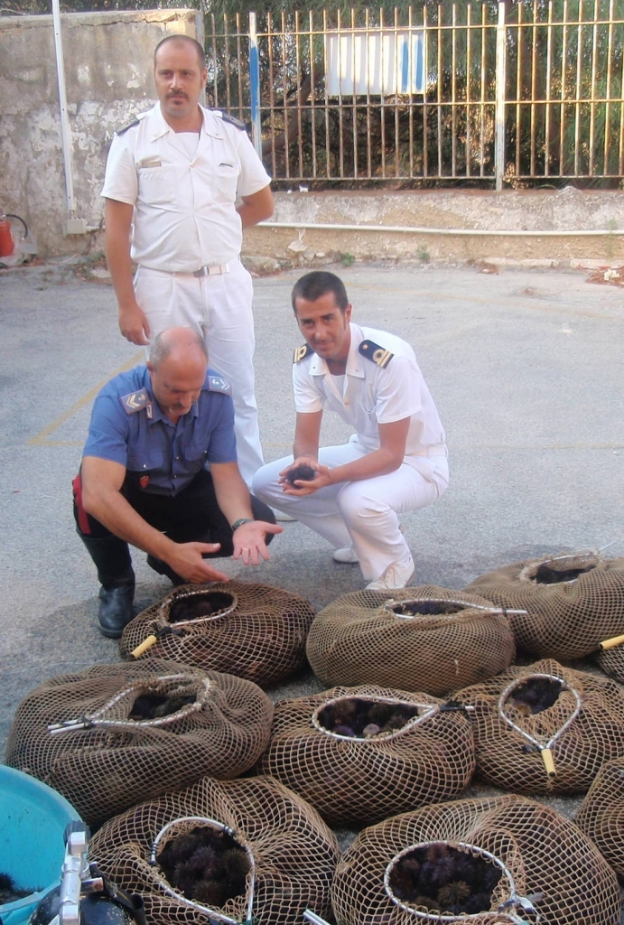 Agrigento, maxi sequestro di ricci di mare, multati 5 sub catanesi