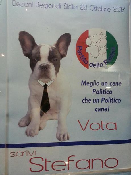 Elezioni. A Favara il partito della ''rabbia'' candida il cane Stefano