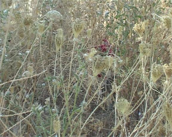 Favara. Un luogo Sacro lasciato al piu' totale abbandono... 