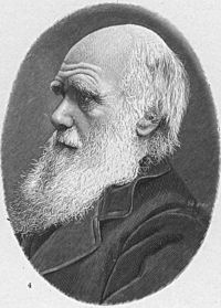 Charles Darwin e Antonio Mendola