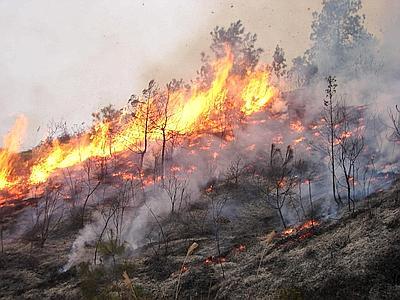 Strade provinciali. Attivato il servizio antincendio