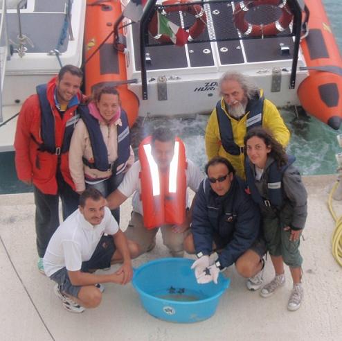 Realmonte. Liberate in mare 6 tartarughine di Caretta Caretta