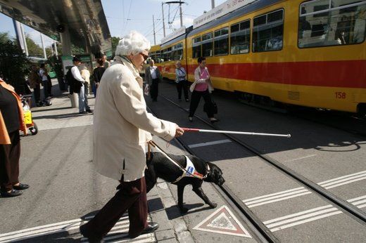 Invalido della vista accusato di truffa aggravata all'INPS. Revocato il provvedimento del GIP