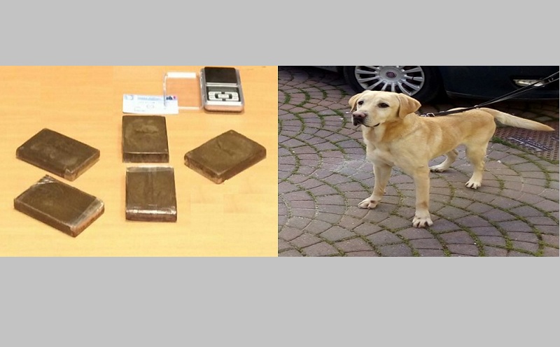 Agrigento, arrestato corriere di droga