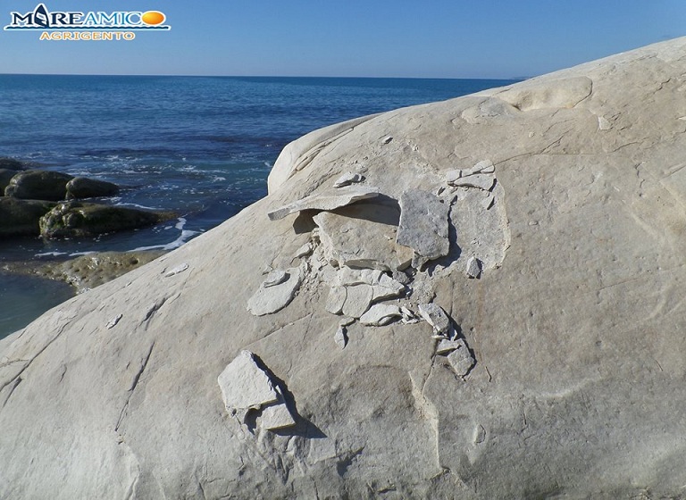 Riserva di Punta Bianca. MareAmico denuncia nuovi atti vandalici