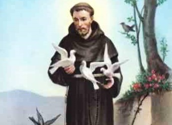 San Francesco d'Assisi a Favara. Il programma