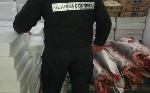 Capitaneria di Porto di Porto Empedocle sequestro prodotto ittico