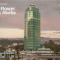 New Flower – Addis Abeba mostra fotografica farm parco