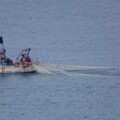 pesca novellame piccola imbarcazione pescatori