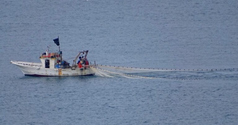 pesca novellame piccola imbarcazione pescatori