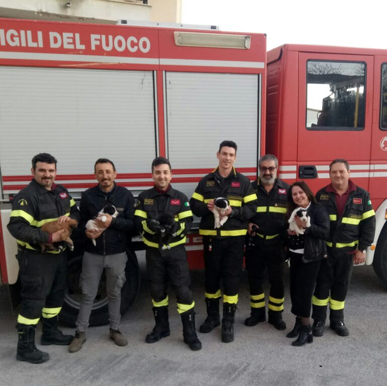 vigili del fuoco salvano cuccioli canicatti foto di gruppo