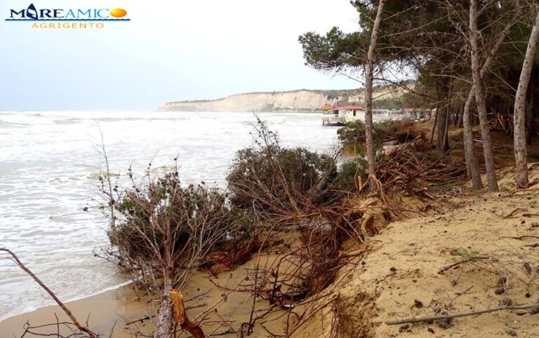 Eraclea Minoa boschetto mare lido
