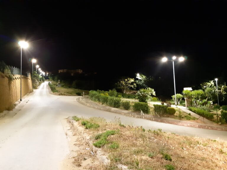 Ingresso naro