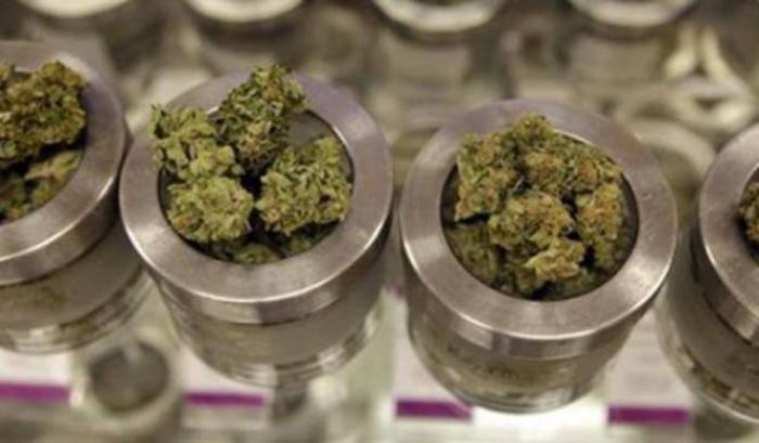 cannabis light