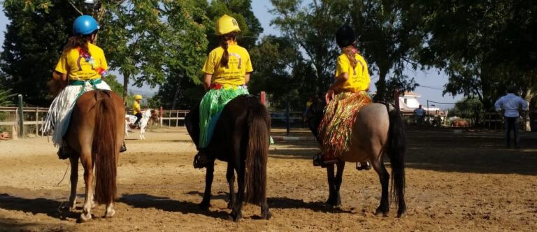maneggio cavalli poni