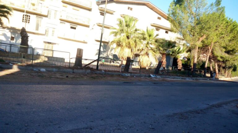 taglio pini piazza lando conti favara 2