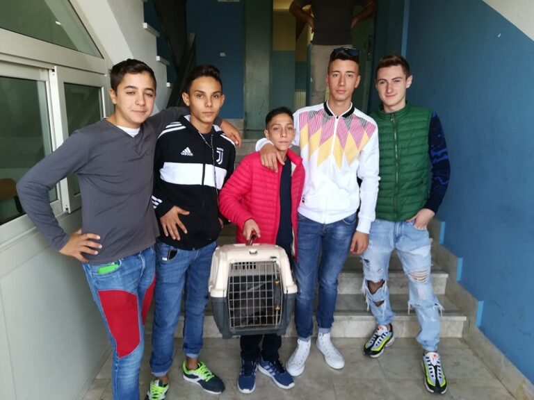 Ragazzi IPIA Favara soccorrono Airone