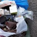 rifiuti in strada sacchetto spazzatura