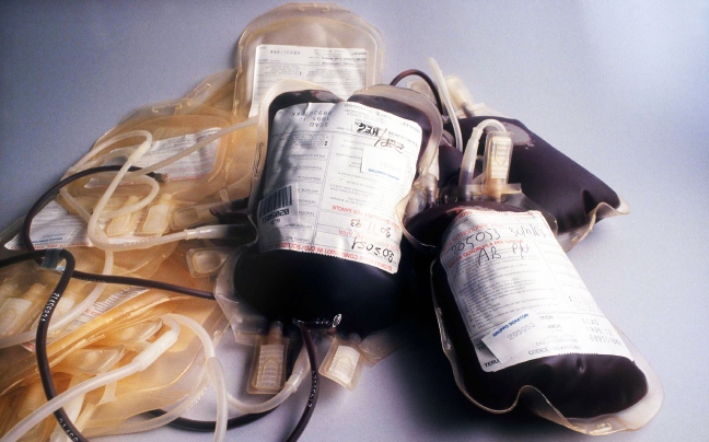 sacche di sangue