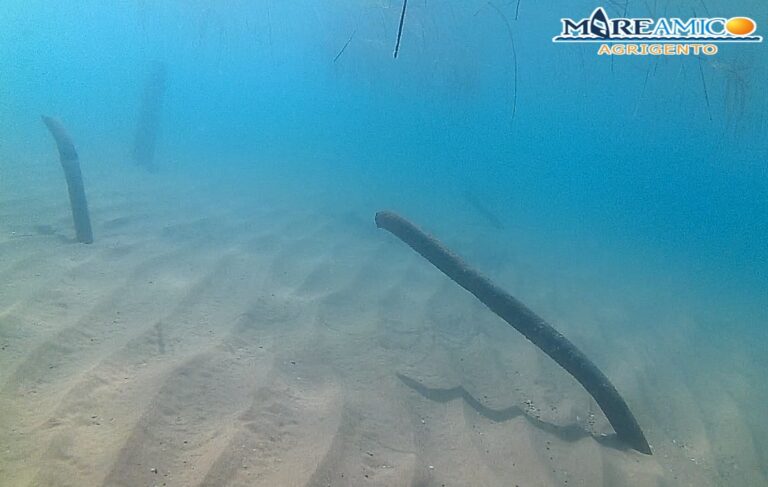 Mareamico mare San Leone ferri OceanoMare