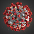 coronavirus covid
