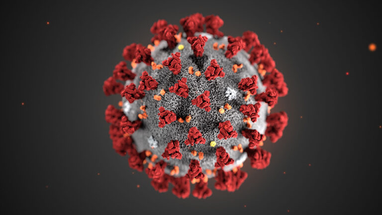 coronavirus covid