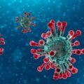 coronavirus covid