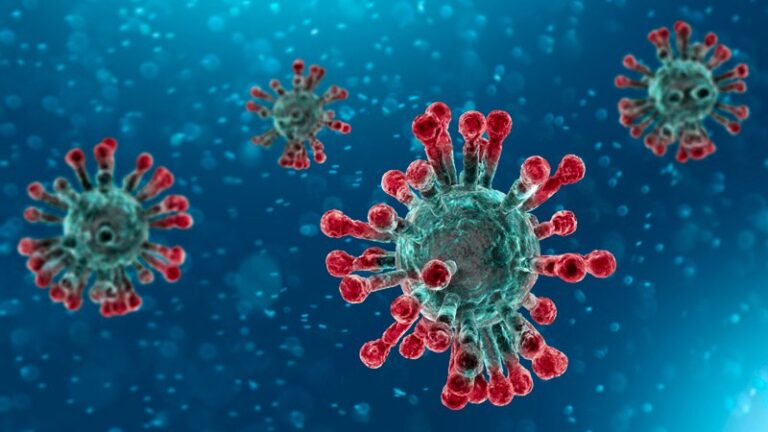 coronavirus covid
