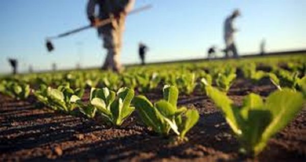 Agricoltura-biologica