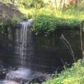 Mareamico segnalazione 16 aprile via Ragazzi del 99