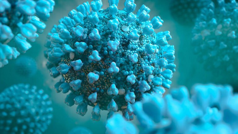covid cellula coronavirus sars-cov-2