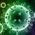 coronavirus (1) covid