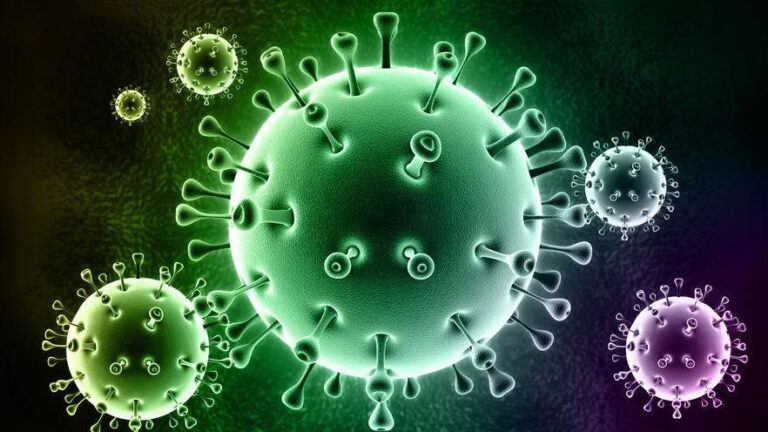 coronavirus (1) covid