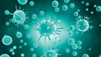 coronavirus covid 19
