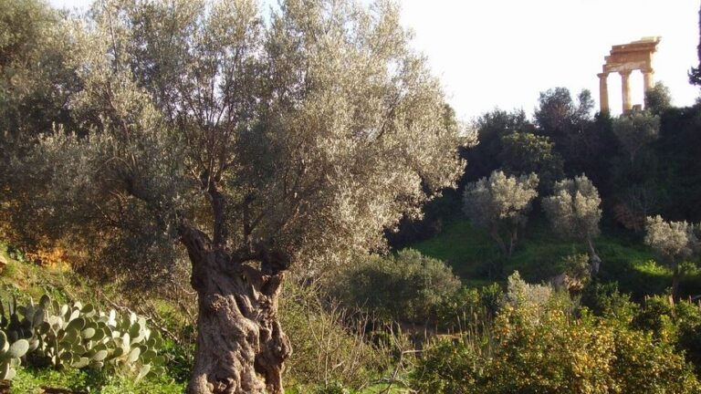 Ritornano le giornate Fai all’aperto. Occorre prenotare online