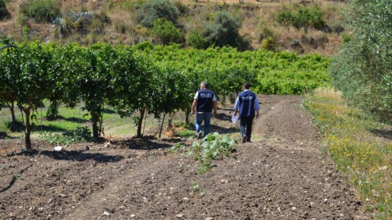 Mafia-terreni-sequestrati-Siculiana