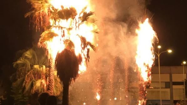 Palme in fiamme