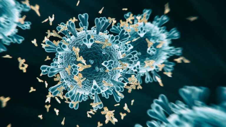 coronavirus
