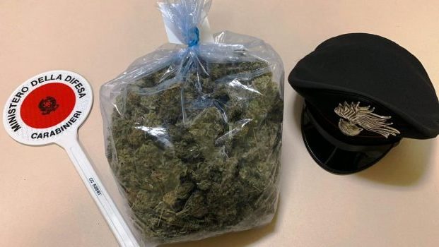 droga marijuana carabinieri licata