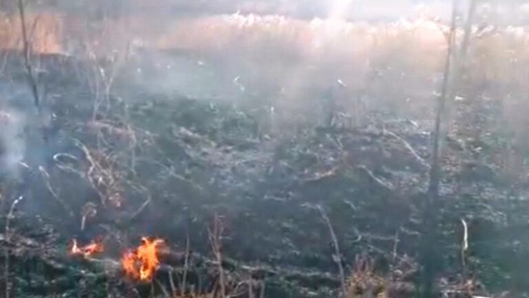 incendio Cooperativa Livatino