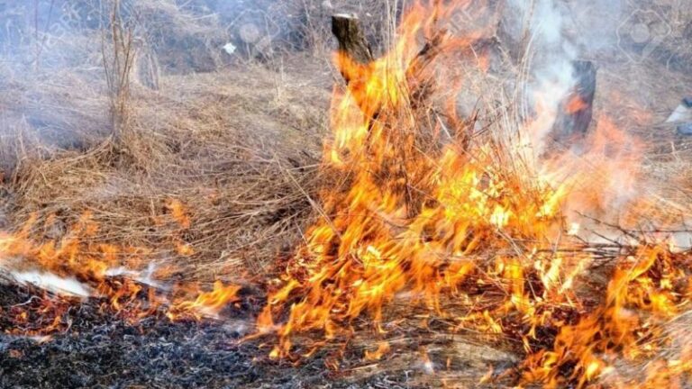 incendio