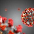 Coronavirus covid-19