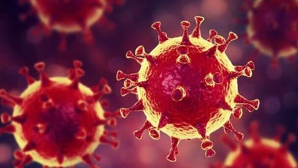 covid coronavirus