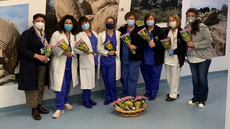 Mimosa ospedale Agrigento