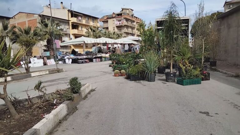 mercato favara piazza lando conti