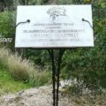 guazzelli
